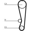 ContiTech | Zahnriemen | CT827