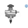 Meyle | Hydraulikpumpe, Lenkung | 16-16 631 0001