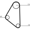 ContiTech | Zahnriemen | CT558