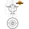 NRF | Thermostat, Kühlmittel | 725176