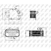 NRF | Ölkühler, Motoröl | 31331