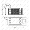 NRF | Ölkühler, Automatikgetriebe | 31192