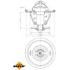 NRF | Thermostat, Kühlmittel | 725202