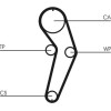 ContiTech | Zahnriemensatz | CT988K2
