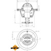 NRF | Thermostat, Kühlmittel | 725126