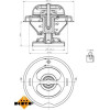 NRF | Thermostat, Kühlmittel | 725074