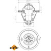 NRF | Thermostat, Kühlmittel | 725125