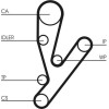 ContiTech | Zahnriemen | CT1148