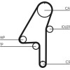 ContiTech | Wasserpumpe + Zahnriemensatz | CT1010WP1