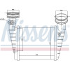 Nissens | Ladeluftkühler | 96731