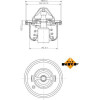 NRF | Thermostat, Kühlmittel | 725211