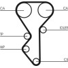 ContiTech | Zahnriemensatz | CT955K2