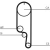 ContiTech | Wasserpumpe + Zahnriemensatz | CT1008WP2