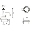 BOSCH | Glühlampe | 1 987 301 339