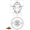 NRF | Thermostat, Kühlmittel | 725161