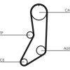 ContiTech | Zahnriemen | CT643