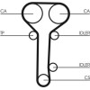 ContiTech | Zahnriemen | CT978