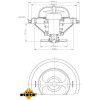 NRF | Thermostat, Kühlmittel | 725073