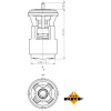 NRF | Thermostat, Kühlmittel | 725133