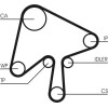 ContiTech | Zahnriemen | CT1136