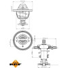 NRF | Thermostat, Kühlmittel | 725118