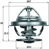 Mahle | Thermostat, Kühlmittel | TX 19 75D