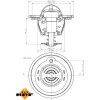 NRF | Thermostat, Kühlmittel | 725207