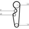 ContiTech | Zahnriemen | CT729