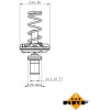 NRF | Thermostat, Kühlmittel | 725049