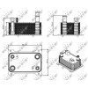 NRF | Ölkühler, Automatikgetriebe | 31362