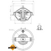 NRF | Thermostat, Kühlmittel | 725210