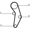 ContiTech | Zahnriemensatz | CT908K1