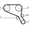 ContiTech | Zahnriemen | CT952