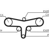 ContiTech | Zahnriemen | CT1117