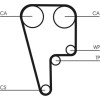 ContiTech | Zahnriemen | CT1006