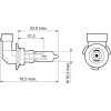 Valeo | Glühlampe, Fernscheinwerfer | 032013