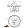 NRF | Thermostat, Kühlmittel | 725084