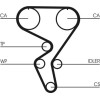 ContiTech | Zahnriemen | CT724