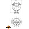 NRF | Thermostat, Kühlmittel | 725090