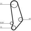 ContiTech | Zahnriemensatz | CT539K1