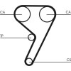 ContiTech | Zahnriemen | CT881