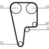ContiTech | Zahnriemen | CT1125