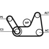 ContiTech | Keilrippenriemensatz | 6PK1019 ELAST T1