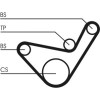 ContiTech | Zahnriemen | CT1107