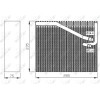 NRF | Verdampfer, Klimaanlage | ohne Expansionsventil | 36081