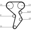 ContiTech | Zahnriemen | CT879