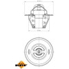 NRF | Thermostat, Kühlmittel | 725212