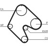 ContiTech | Zahnriemen | CT529