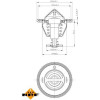 NRF | Thermostat, Kühlmittel | 725107