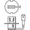 BOSCH | Glühlampe, Fernscheinwerfer | 1 987 302 031